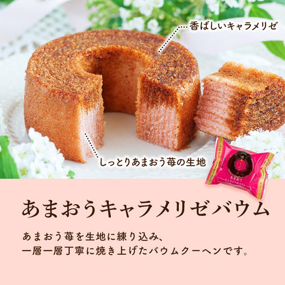 博多風美庵 甜王士多啤梨甜食 悠閒小食 什錦禮盒 29件 7種豪華風味