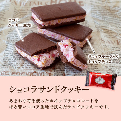 博多風美庵 甜王士多啤梨甜食 悠閒小食 什錦禮盒 29件 7種豪華風味