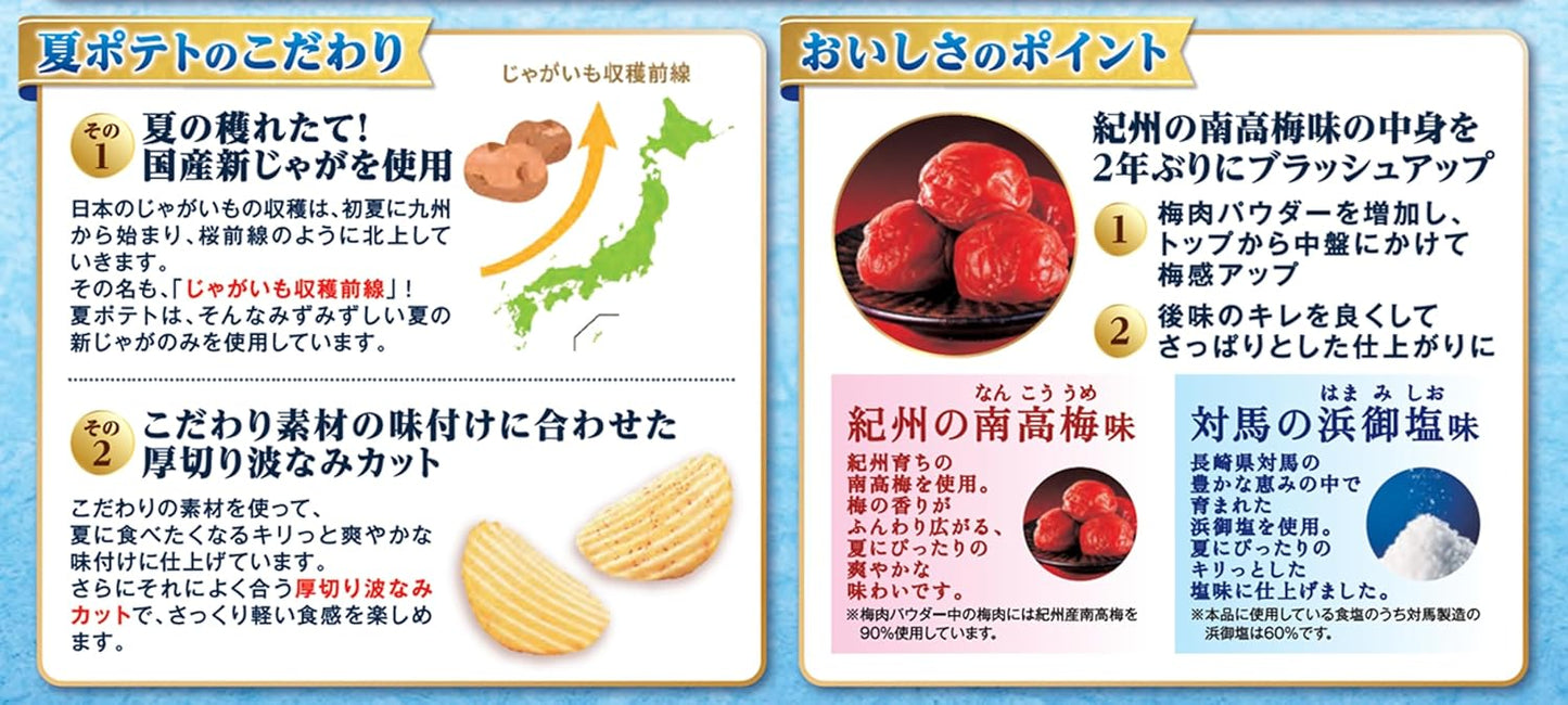 Calbee 卡樂B 卡樂比 日本產 2026夏季限定 薯片 洋芋片 紀州南高梅味 60g x 12包