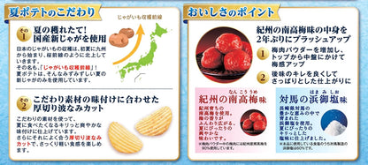 Calbee 卡樂B 卡樂比 日本產 2026夏季限定 薯片 洋芋片 紀州南高梅味 60g x 12包
