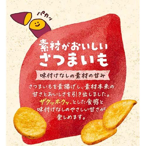 Calbee 卡樂B 素材美味 無添加原條番薯條 無糖 無鹽 純素 38g x 12包優惠裝