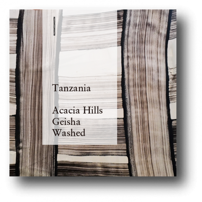 COFFEE COUNTY Tanzania Acacia Hills Geisha Washed Whole Coffee Beans Roasted in Japan 300g