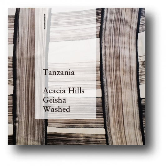 COFFEE COUNTY 坦桑尼亞 Acacia Hills 莊園 Geisha 藝伎/瑰夏 精品咖啡原豆 水洗處理 日本烘焙 300g