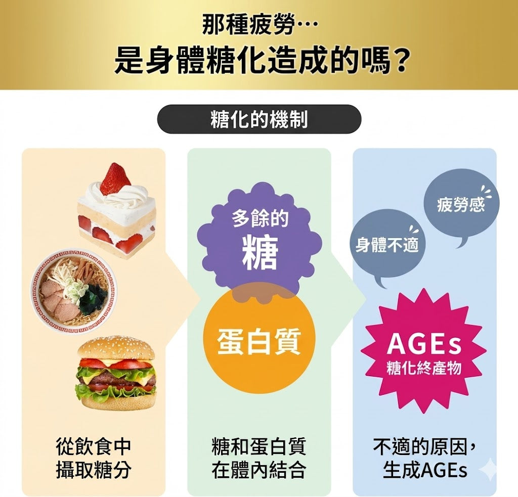 Regain 日本製 Triple Force EX 強化三重配方 促進代謝 提升活力 3袋優惠裝 90日份量