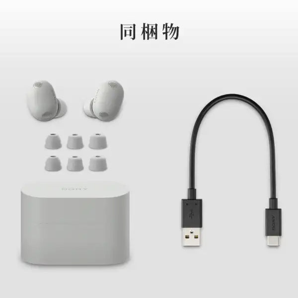 SONY WF-1000XM6 日本版 旗艦級 無線藍牙降噪耳機