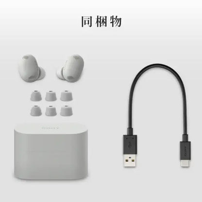 SONY WF-1000XM6 日本版 旗艦級 無線藍牙降噪耳機