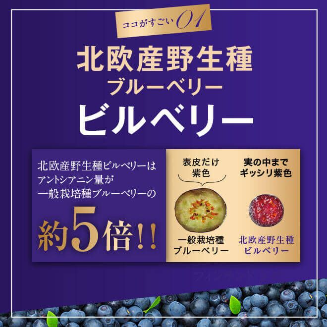 わかさ生活 日本製 Blueberry Eye PRO 日本眼科醫生推薦 藍莓護眼膠囊 紓緩眼部疲勞 3包優惠裝
