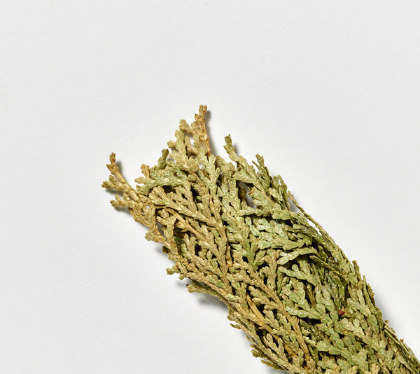 日本香堂Yohaku｜日本製 檜木淨香束（Hinoki Smudge Stick）