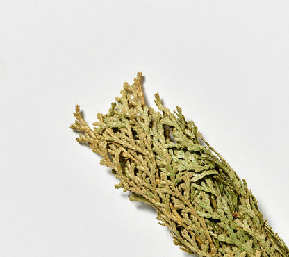 日本香堂Yohaku｜日本製 檜木淨香束（Hinoki Smudge Stick）