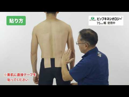 ProFits 日本製 腰部大腿用 舒適透氣專業運動貼布 Kinesiology Tape 75mm 2盒