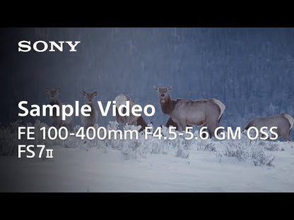 SONY FE 100-400mm F4.5-5.6 GM OSS for E-mount SEL100400GM 全片幅 超望遠變焦鏡頭