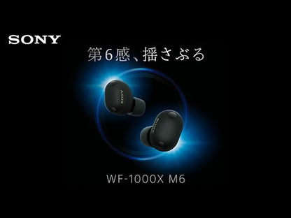 SONY WF-1000XM6 日本版 旗艦級 無線藍牙降噪耳機