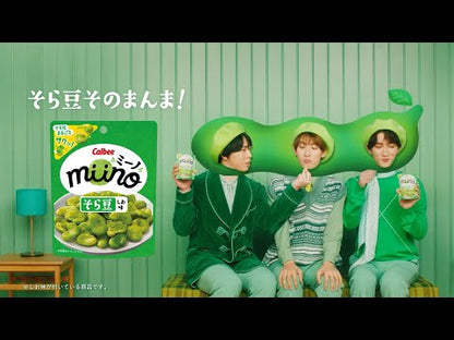 Calbee 卡樂B miino 鹽味原粒蠶豆脆 低醣質 高蛋白 減肥零食 28g x 12包優惠裝