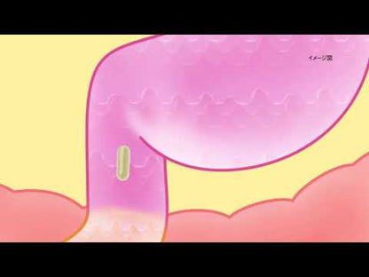 日清製藥LivLon Bificolon S 比菲德氏菌益生菌膠囊 有效改善腸道環境