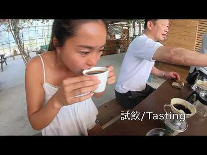 Matayoshi Coffee 又吉咖啡園 肯亞 單一產地 自家烘焙咖啡豆 100g x 4包