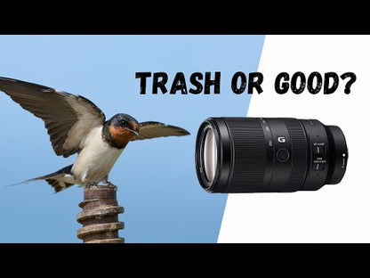 SONY E 70-350mm F4.5-6.3 G OSS for E-mount SEL70350G APS-C 超望遠變焦鏡頭